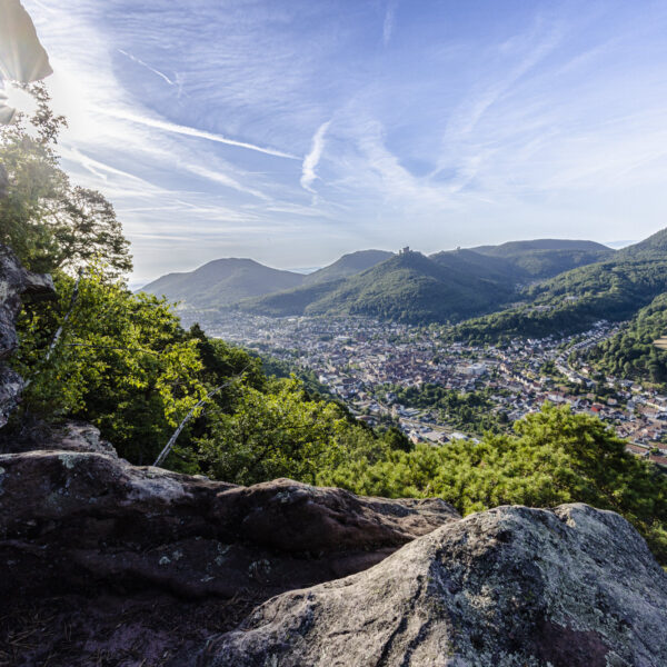 Header Kleiner Adelberg Blick vom Kleinen Adelberg auf die Stadt Annweiler