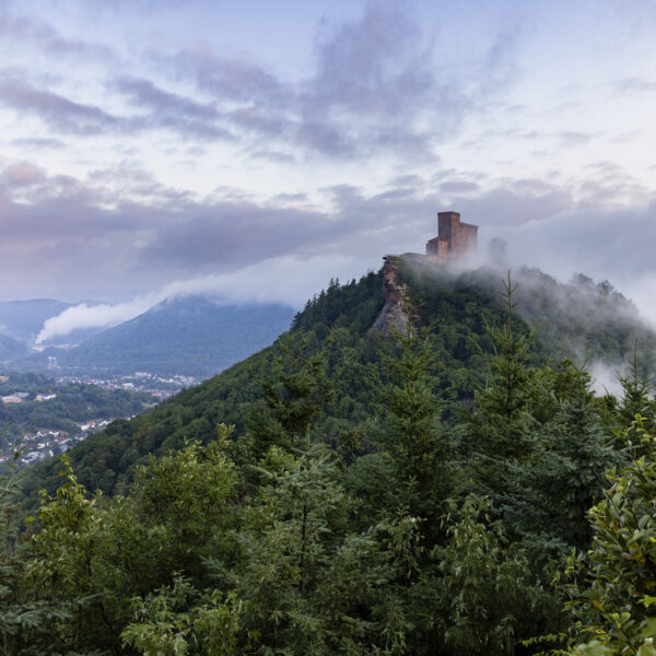 Burg Trifels Header Burg Trifels auf dem Berg