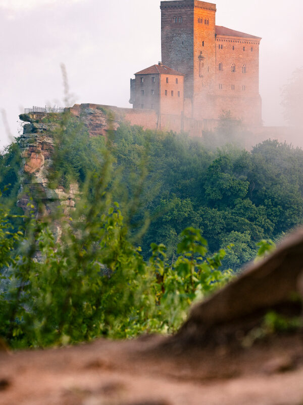 Burg Trifels Blick auf Burg Trifels